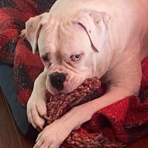 Meet your Posher, Lindsay